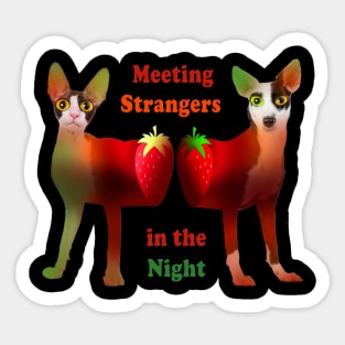 Strangers in the Night. Funny Cat and Dog with Strawberries :) Sticker